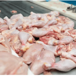 Cara Praktis Menyimpan Ayam Mentah agar Tahan Lama
