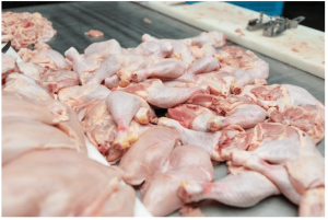 Cara Menyimpan Ayam Mentah agar Tahan Lama