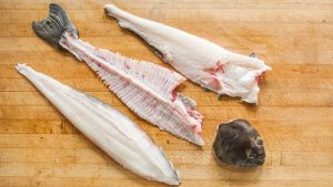 usaha pemisah daging dan tulang ikan