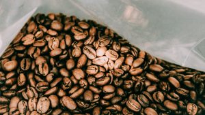Cara Memilih Kopi Arabika