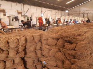 Supplier sabut kelapa