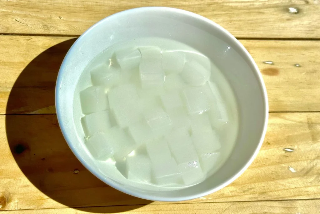 fermentasi nata de coco bersifat