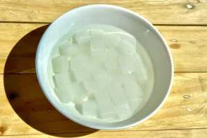 fermentasi nata de coco bersifat