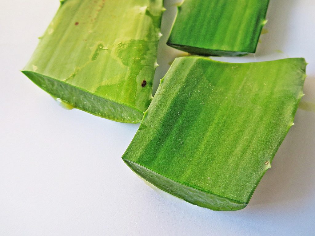 cara membuat keripik lidah buaya