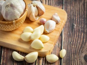 alat bantu rajang bawang