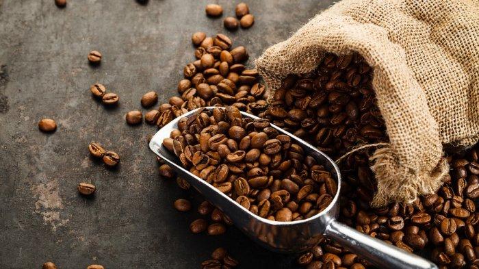 kenapa grinder kopi memengaruhi rasa kopi