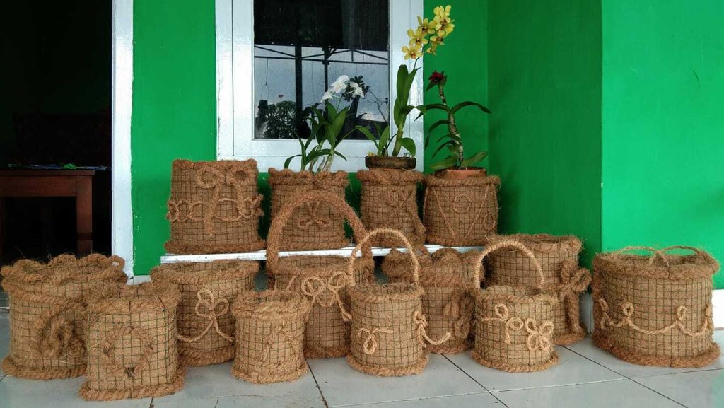 Pot Sabut Kelapa Kreatif dan Estetik untuk Tanaman Hias