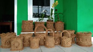 Pot Sabut Kelapa Kreatif dan Estetik untuk Tanaman Hias