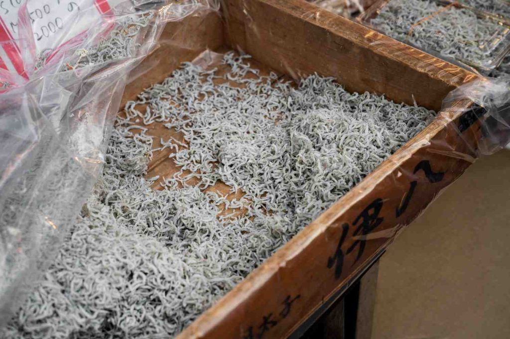 Edukasi Keselamatan Mesin Pencacah Plastik