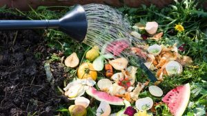 pemanfaatan sampah organik sebagai pupuk