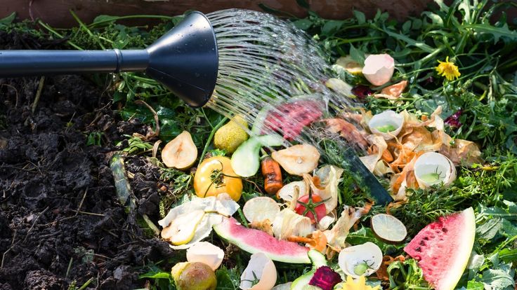 pemanfaatan sampah organik sebagai pupuk