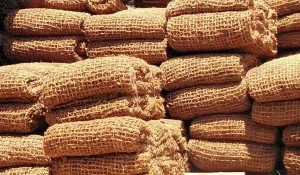 cocomesh untuk pengendalian sedimentasi