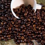 Standar Mutu Sortir Kopi untuk Menjaga Kualitas Biji