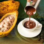 Proses Produksi Coklat Kakao Berkualitas