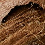 Jaring Serat Kelapa Biodegradable sebagai Solusi Ramah Lingkungan untuk Stabilisasi Tanah