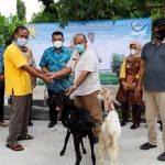 Program Pemerintah Bantuan Alat Peternakan Bagi Peternak Umkm