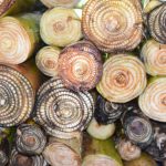 Strategi Operasional Usaha Pakan Ternak Dari Batang Pisang