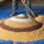 Tips Membuat Pakan Ternak Bergizi untuk Hasil Maksimal