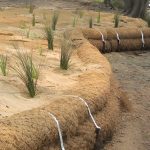 Cocomesh Sebagai Solusi Teknik Hijau Ramah Lingkungan