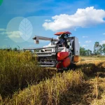 Efisiensi panen dengan combine harvester dalam pertanian modern