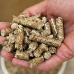Cara buat pelet kayu sendiri dengan langkah mudah dan efisien