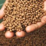 Cara Meningkatkan Produksi Pelet Pakan agar Lebih Efisien