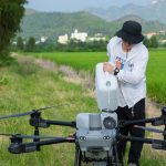 Cara Menggunakan Drone Sprayer untuk Penyemprotan di Sawah