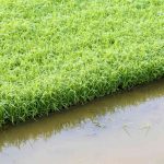 Cara Meningkatkan Efisiensi Sistem Irigasi Pertanian
